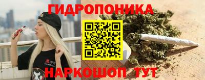 ECSTASY Новозыбков