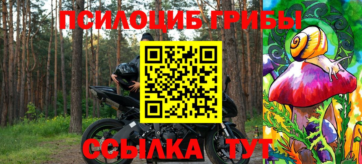 Галлюциногенные грибы GOLDEN TEACHER  Вход с VPN  Славянск-на-Кубани 