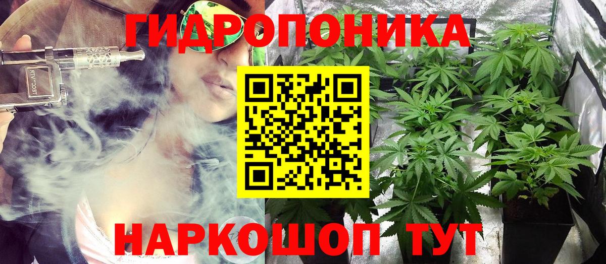 Каннабис SATIVA & INDICA  МАРИХУАНА семена  Вход с VPN  Славянск-на-Кубани 